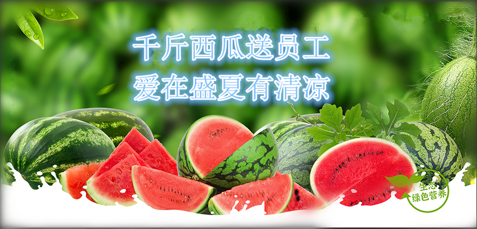 通達(dá)軟件公司： 千斤西瓜送員工，愛在盛夏有清涼